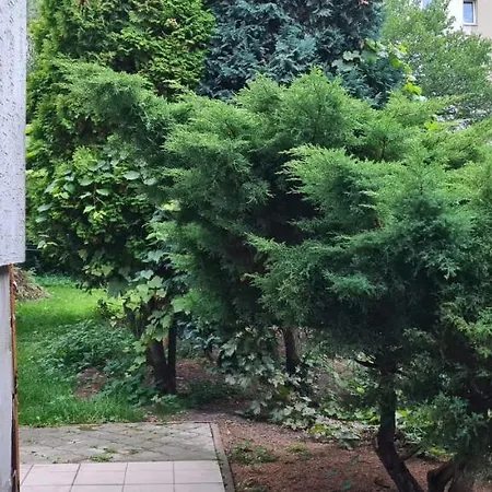 Garden Homestay Wroclaw